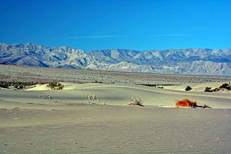 sand dunes